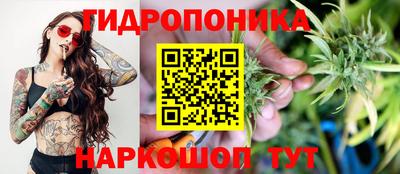 ECSTASY Изобильный
