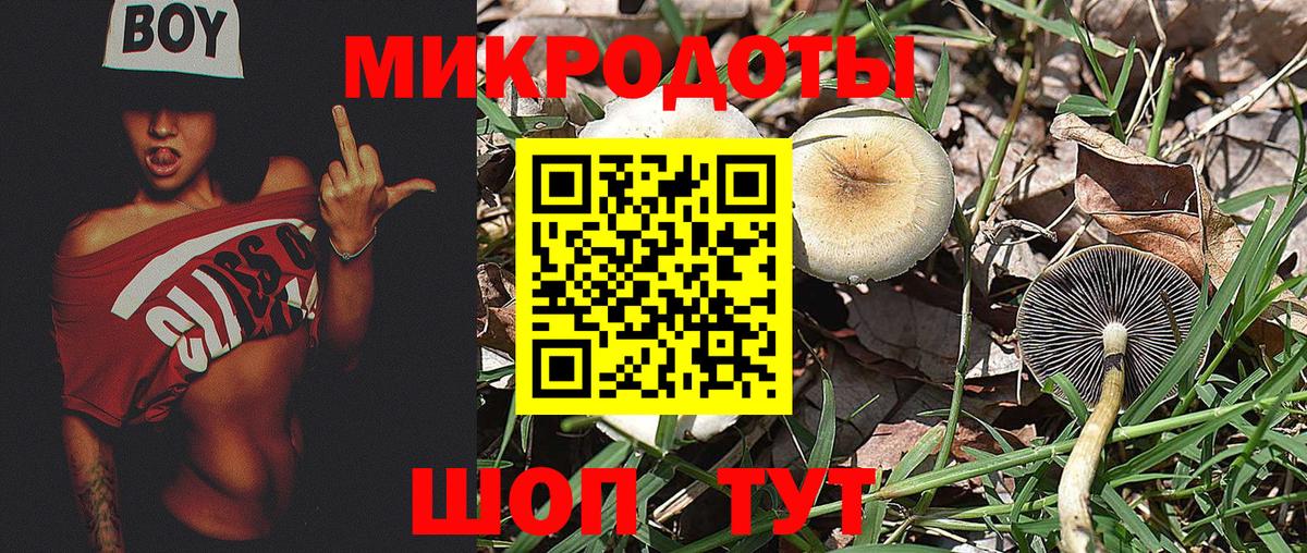 Галлюциногенные грибы GOLDEN TEACHER  Вход с VPN  Иваново  Псилоцибиновые грибы мухоморы 
