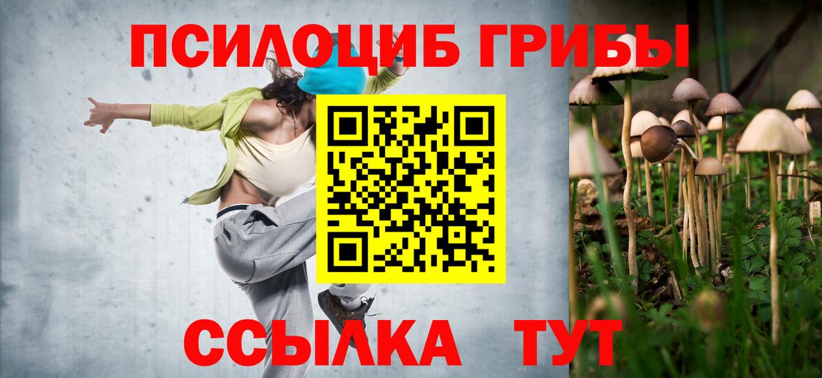 Псилоцибиновые грибы GOLDEN TEACHER Иваново